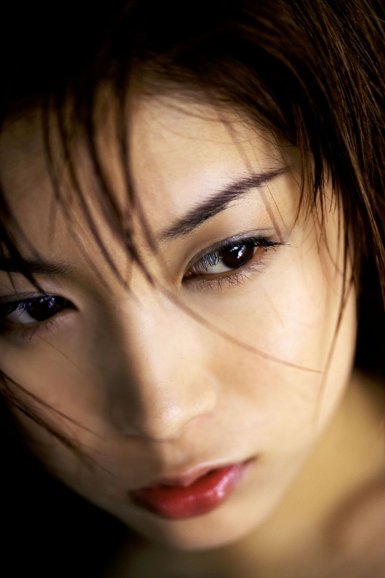 半岛web版登录入口